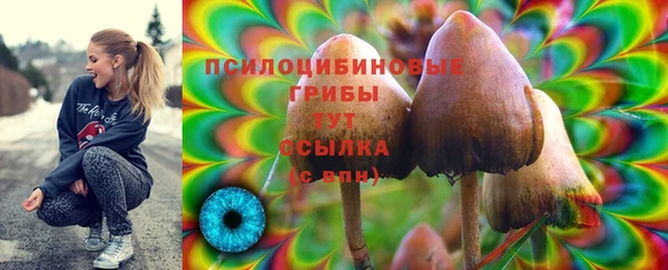 тгк Аркадак