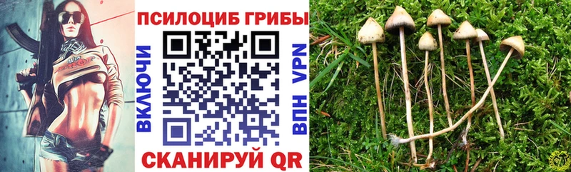 Галлюциногенные грибы GOLDEN TEACHER  Купить где  Барыш 